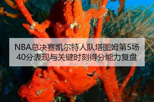 zong-jue-sai-kai-er-te-ren-dui-ta-tu-mu-di-chang-fen-biao-xian-yu-guan-jian-shi-ke-de-fen-neng-li-fu-pan-2-655.jpg